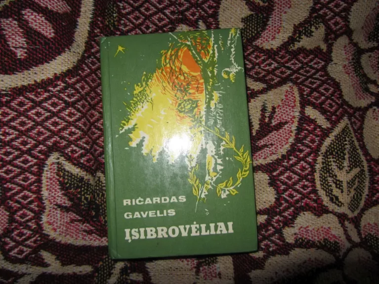 Įsibrovėliai - Ričardas Gavelis, knyga