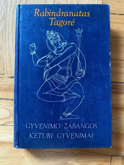 Gyvenimo žabangos. Keturi gyvenimai - Rabindranatas Tagorė, knyga
