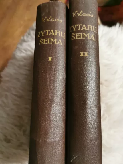 Zytarų šeima (2 tomai) - Vilis Lacis, knyga 1