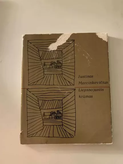 Liepsnojantis krūmas