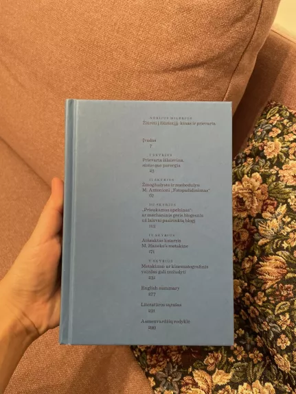 Žiūrėti į žiūrintįjį: kinas ir prievarta