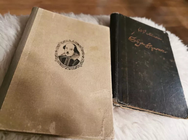 Romeo ir Džiuljeta - William Shakespeare Viljamas Šekspyras, knyga 1