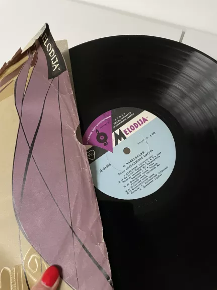 Gulbių ežeras - P.Čaikovskis (3)