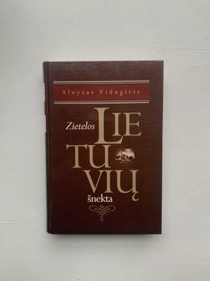 Zietelos lietuvių šnekta - Aloyzas Vidugiris, knyga