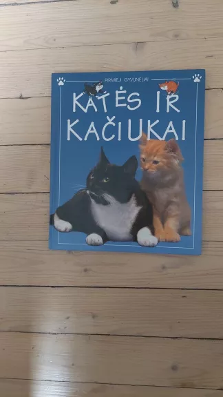 Katės ir kačiukai