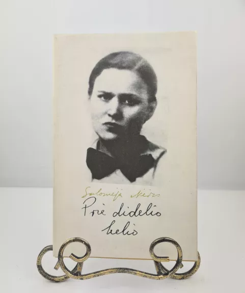 Prie didelio kelio - Salomėja Nėris, knyga 1