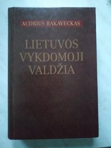 lietuvos vykdomoji valdžia
