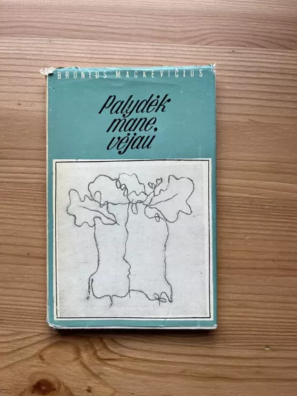 Palydėk mane, vėjau