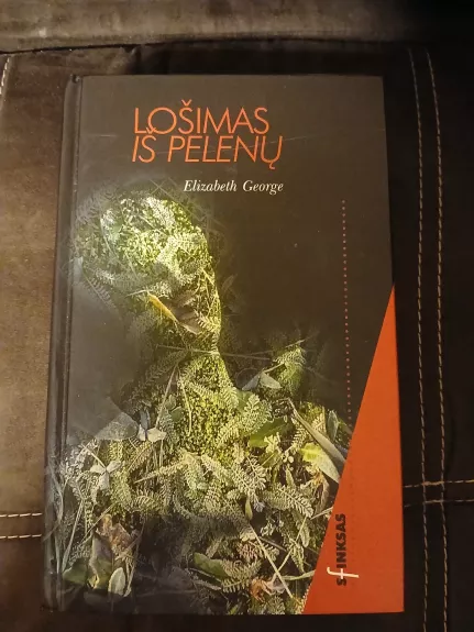 Lošimas iš pelenų