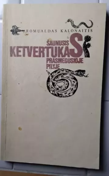 Šaunusis ketvertukas prasmegusioje pilyje - Romualdas Kolonaitis, knyga