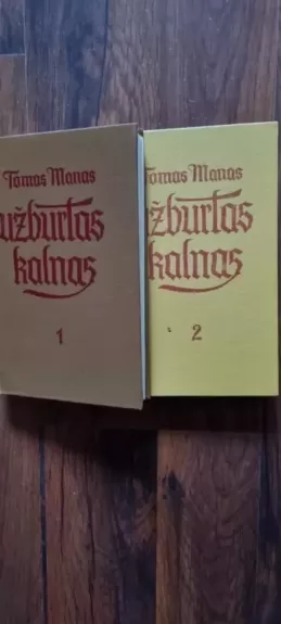 Užburtas  kalnas - Tomas Manas, knyga