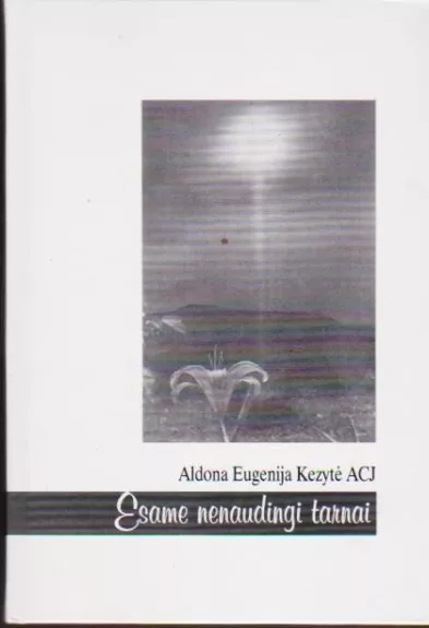 Esame nenaudingi tarnai