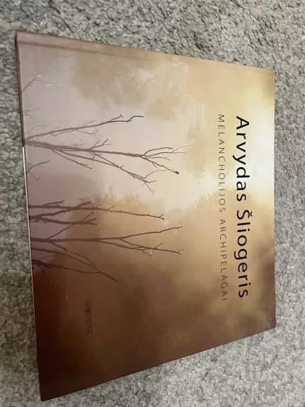Melancholijos archipelagai. Žodžiai ir vaizdai - Arvydas Šliogeris, knyga