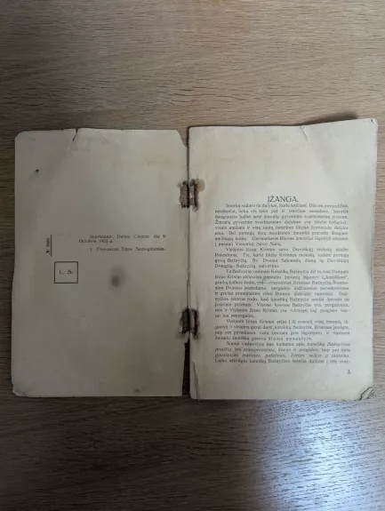 Kun.J.Koncevičius Bažnyčios istorija,1924 m