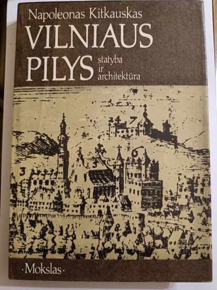 Vilniaus pilys