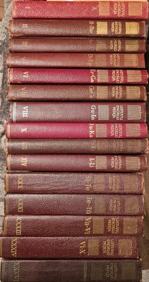 Lietuvių enciklopedija (I tomas)