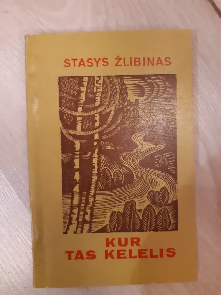 Kur tas kelelis - Stasys Žlibinas, knyga