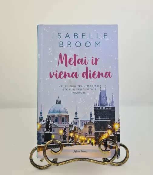 Metai ir viena diena