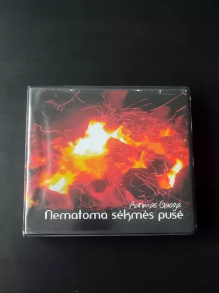 Audio knyga. Nematoma sėkmės pusė