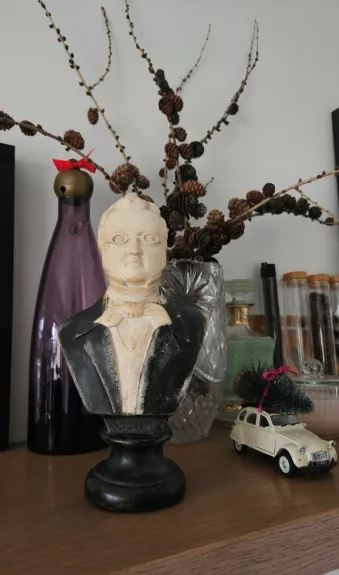 Franco Šuberto gipso biustas