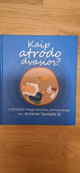 Kaip atrodo dvasios? - Antanas Saulaitis, knyga