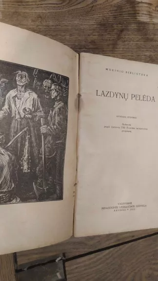 Ir pražuvo kaip sapnas