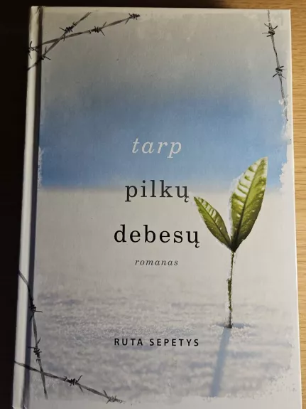 Tarp pilkų debesų - Šepetys Ruta, knyga 1