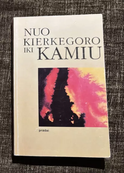 Nuo Kierkegoro iki Kamiu - Astrida Petraitytė, knyga