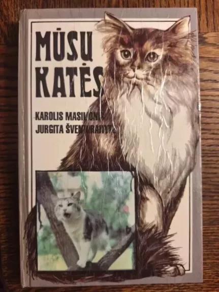 Mūsų katės