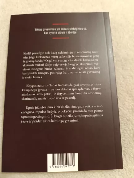 YRA KAIP YRA. Kelionė į save, stebėjimai ir auksinės mintys - Tadas Karosas, knyga 1