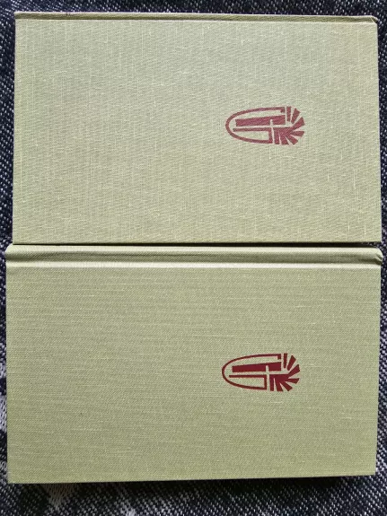 Šv. Rašto kraštuose (II dalis) (21A serijos knyga)