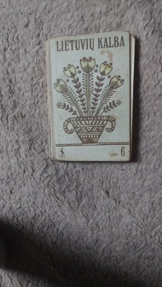 Lietuvių kalba 6-tai klasei