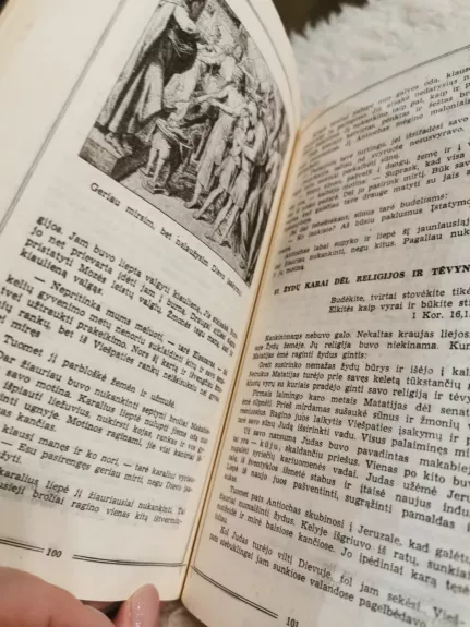 Šventoji istorija. Senasis įstatymas - Autorių Kolektyvas, knyga 1