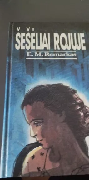 Šešėliai rojuje - Erich Maria Remarque, knyga