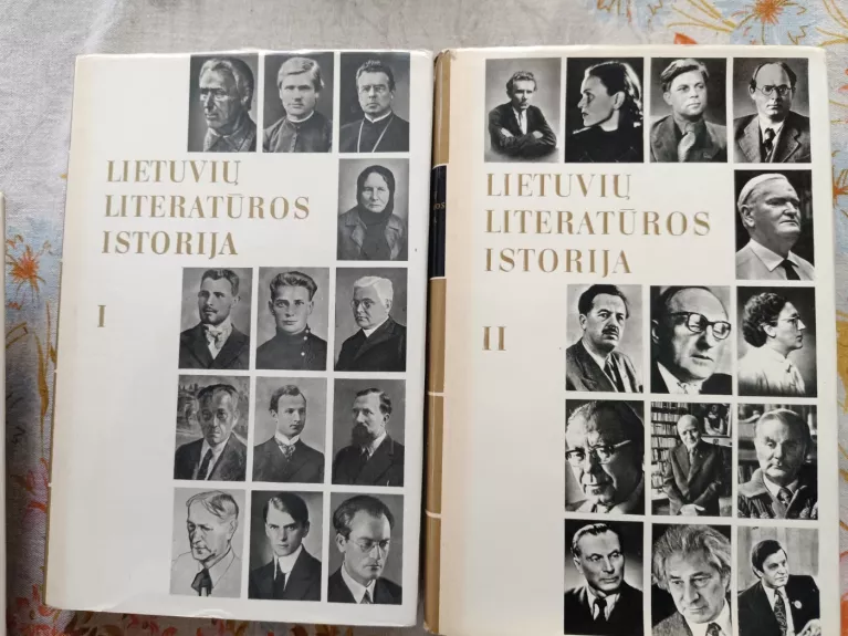 Lietuvių literatūros istorija (II tomai)