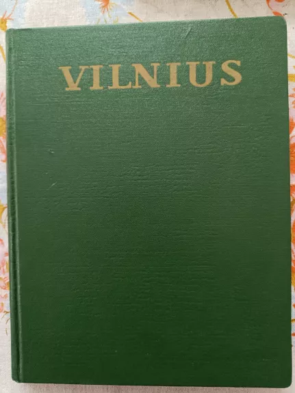 Vilnius architektūra iki XX amžiaus pradžios