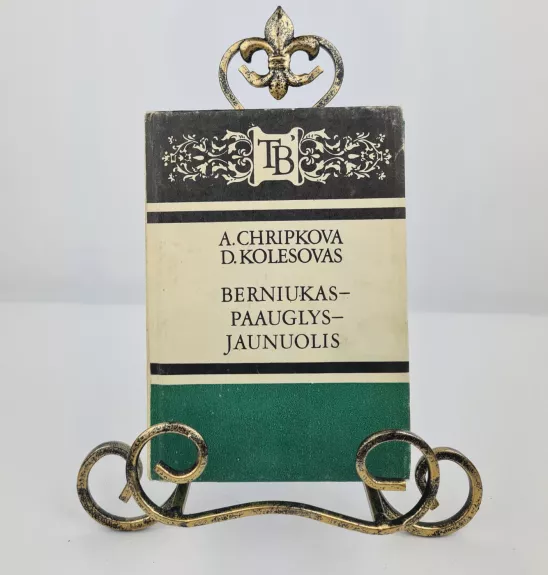 Berniukas - paauglys - jaunuolis