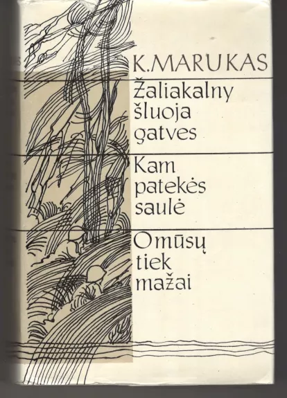 Žaliakalny šluoja gatves. Kam patekės saulė. O mūsų tiek mažai.