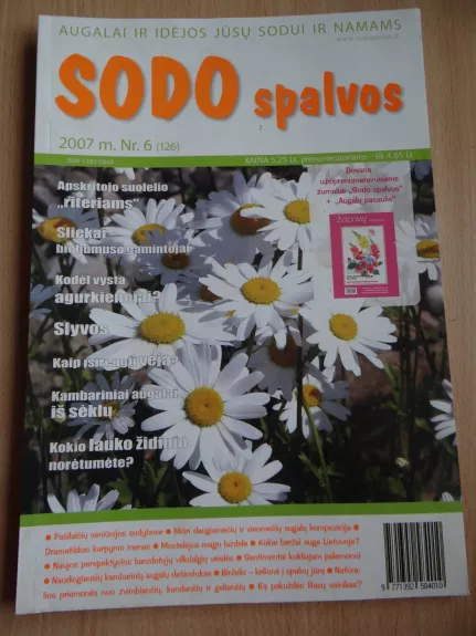 Sodo spalvos 2007/6