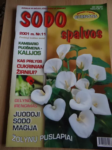 Sodo spalvos 2001/11