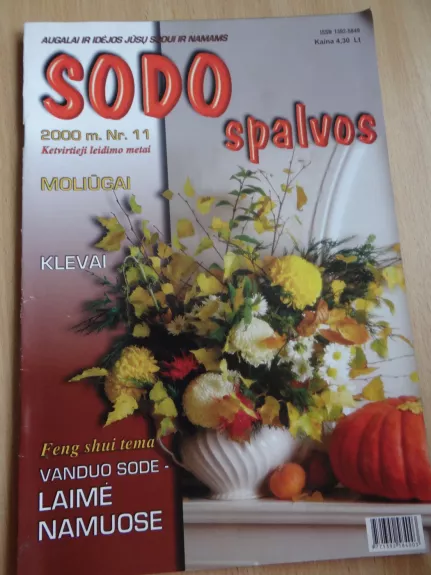 Sodo spalvos 2000/11