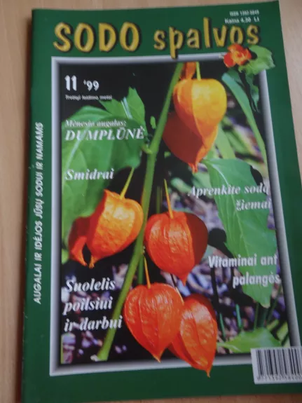Sodo spalvos 1999/11