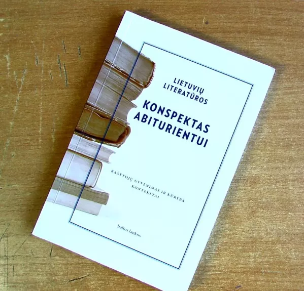 Lietuvių literatūros konspektas abiturientui - Autorių Kolektyvas, knyga