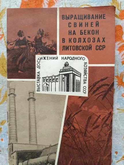 Kiaulių ir bekonų auginimas LTSR
