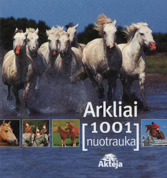 Arkliai. 1001 nuotrauka