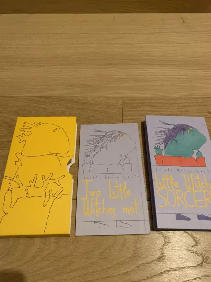 Raganyčių burtai - Jūratė Račinskaitė, knyga