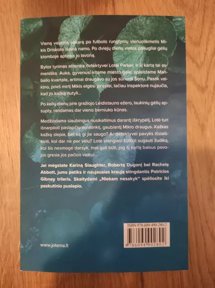 Niekam nesakyk - Patricia Gibney, knyga 1