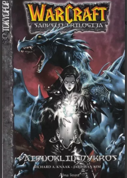Vaiduoklių dykros: WarCraft: Sanvelo trilogija III tomas - Richard A. Knaak, Jae-Hwan  Kim, knyga