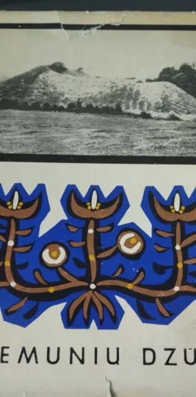 Panemunių dzūkai - Angelė Vyšniauskaitė, knyga