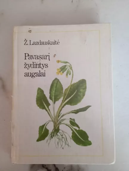 Pavasarį žydintys augalai